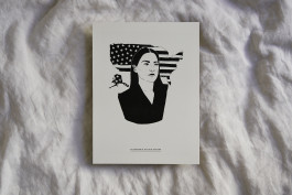 SCHLEUNBERT × LINUS