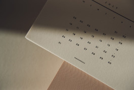 SCHLEUNBERT × LINUS