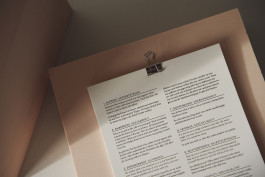 SCHLEUNBERT × LINUS