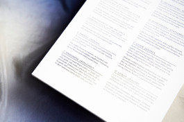 SCHLEUNBERT × LINUS