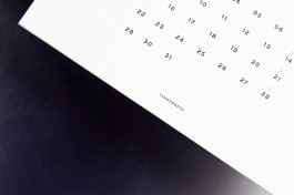 SCHLEUNBERT × LINUS